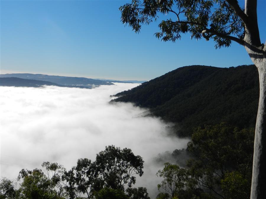 Cabins in the Clouds | 424 Moonabung Rd, Vacy NSW 2421, Australia | Phone: 0474 763 399