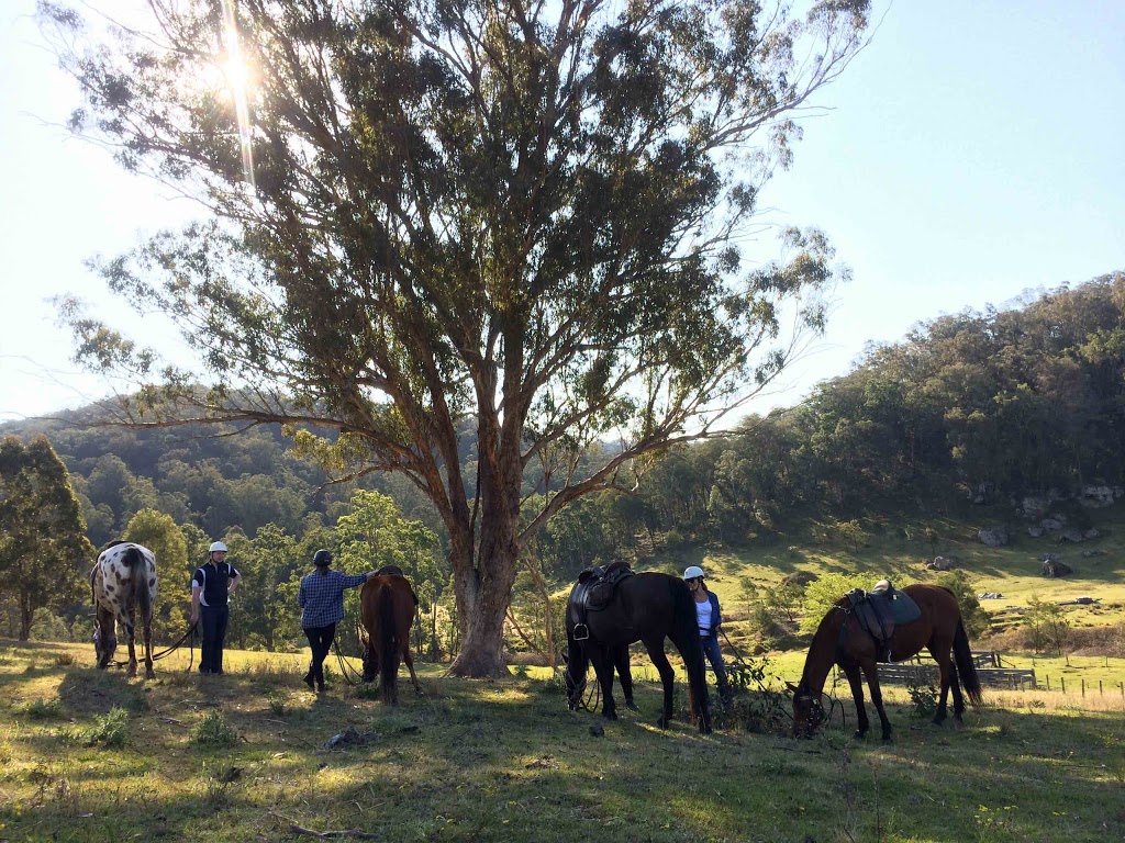 Chapman Valley Horse Riding | 7054 Putty Rd, Howes Valley NSW 2330, Australia | Phone: (02) 6579 4593