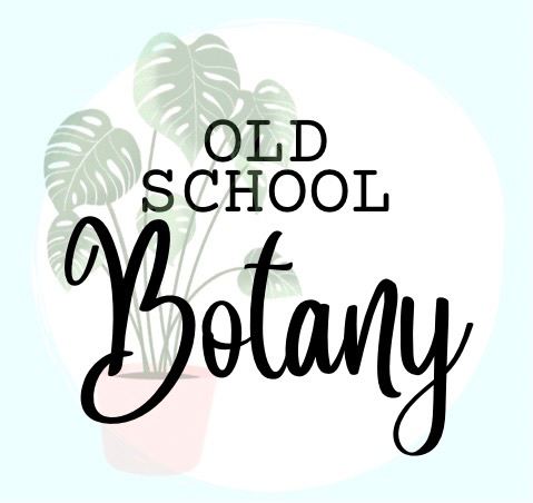 Old School Botany | 16 Old School Ln, Ravenswood South VIC 3453, Australia | Phone: 0411 961 686