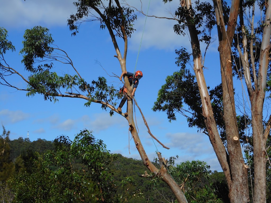 Diverse Tree Services |  | 27 Bunga St, Bermagui NSW 2546, Australia | 0432663517 OR +61 432 663 517