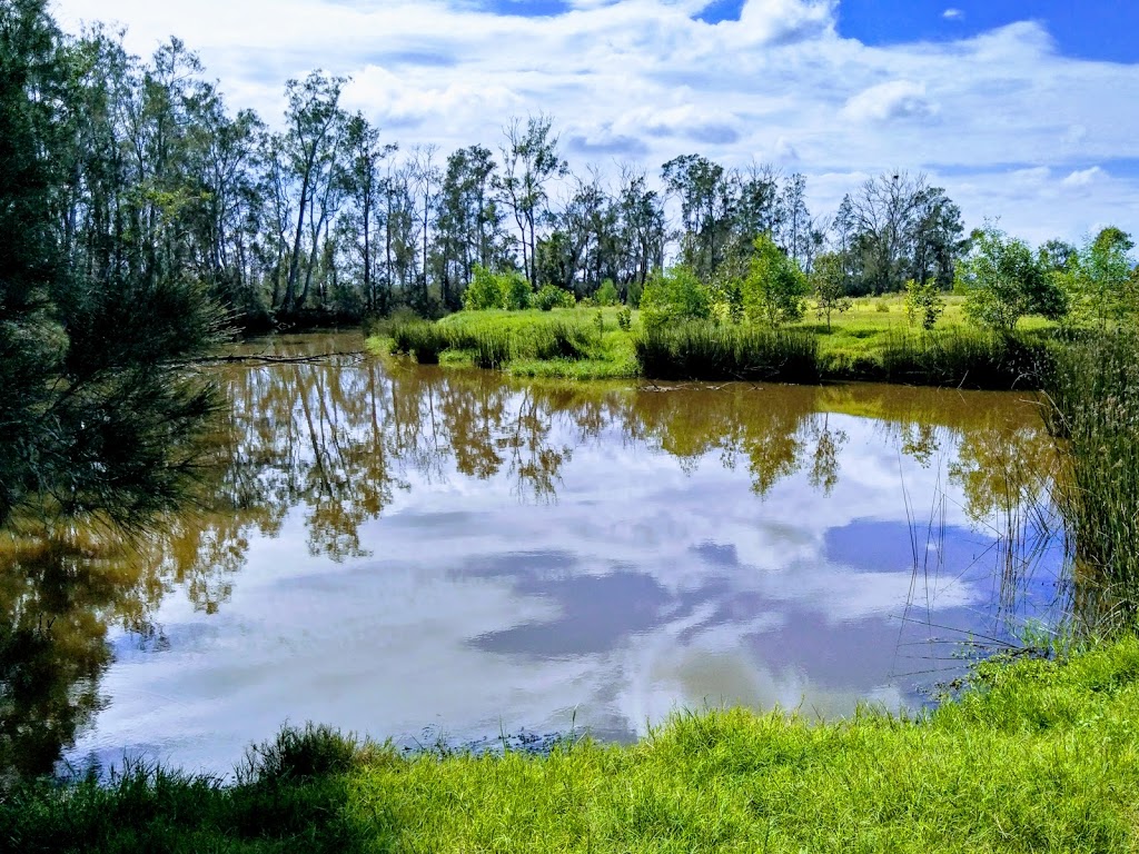 Everlasting Swamp National Park | park | Lower Southgate NSW 2460, Australia