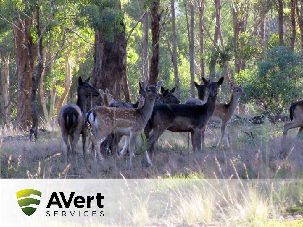 AVert Services | 267 Adelaide Gully Rd, Kersbrook SA 5231, Australia | Phone: (08) 8344 8327