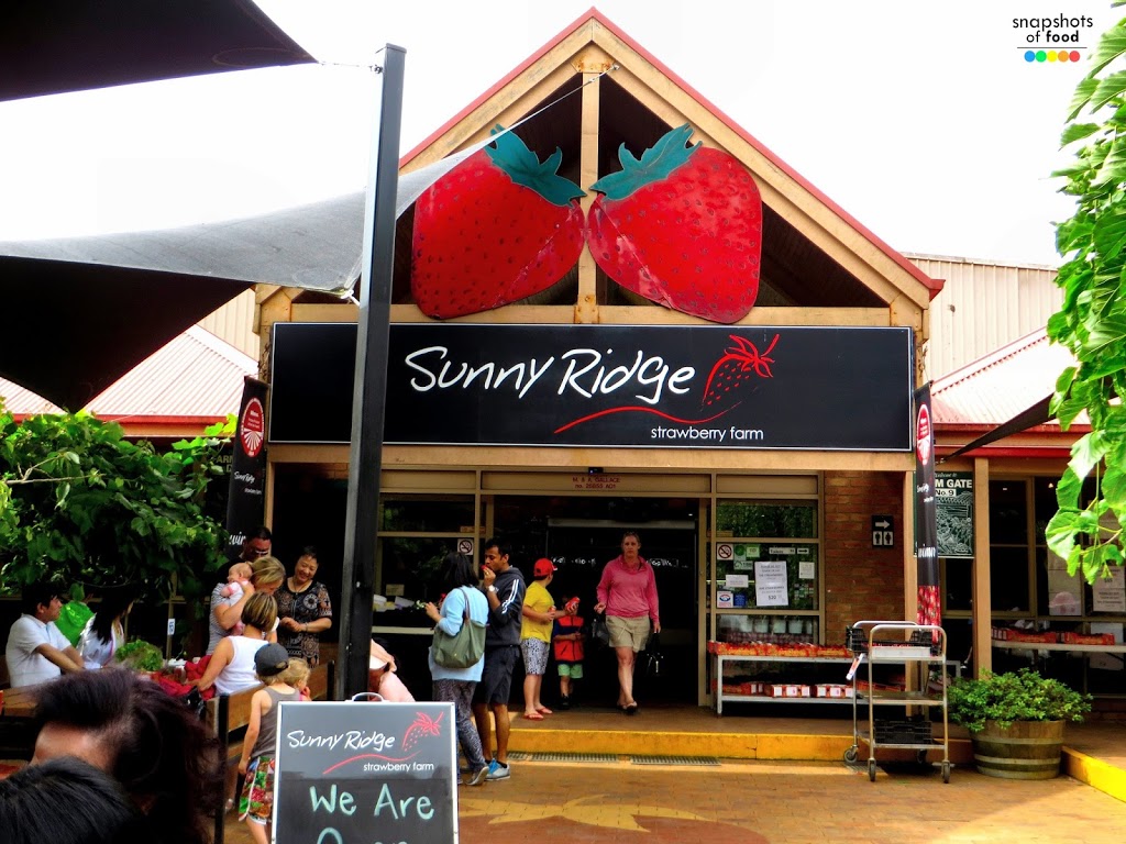 Sunny Ridge Strawberry Farm | store | 244 Shands Rd, Main Ridge VIC 3928, Australia | 0359894500 OR +61 3 5989 4500