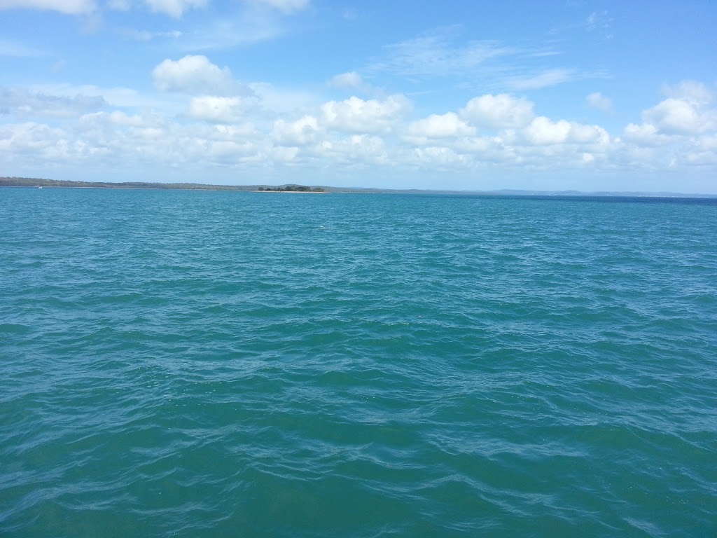 Hervey Bay Whale Watch | Great Sandy Straits Marina,, Buccaneer Dr, Urangan QLD 4655, Australia | Phone: 1800 671 977