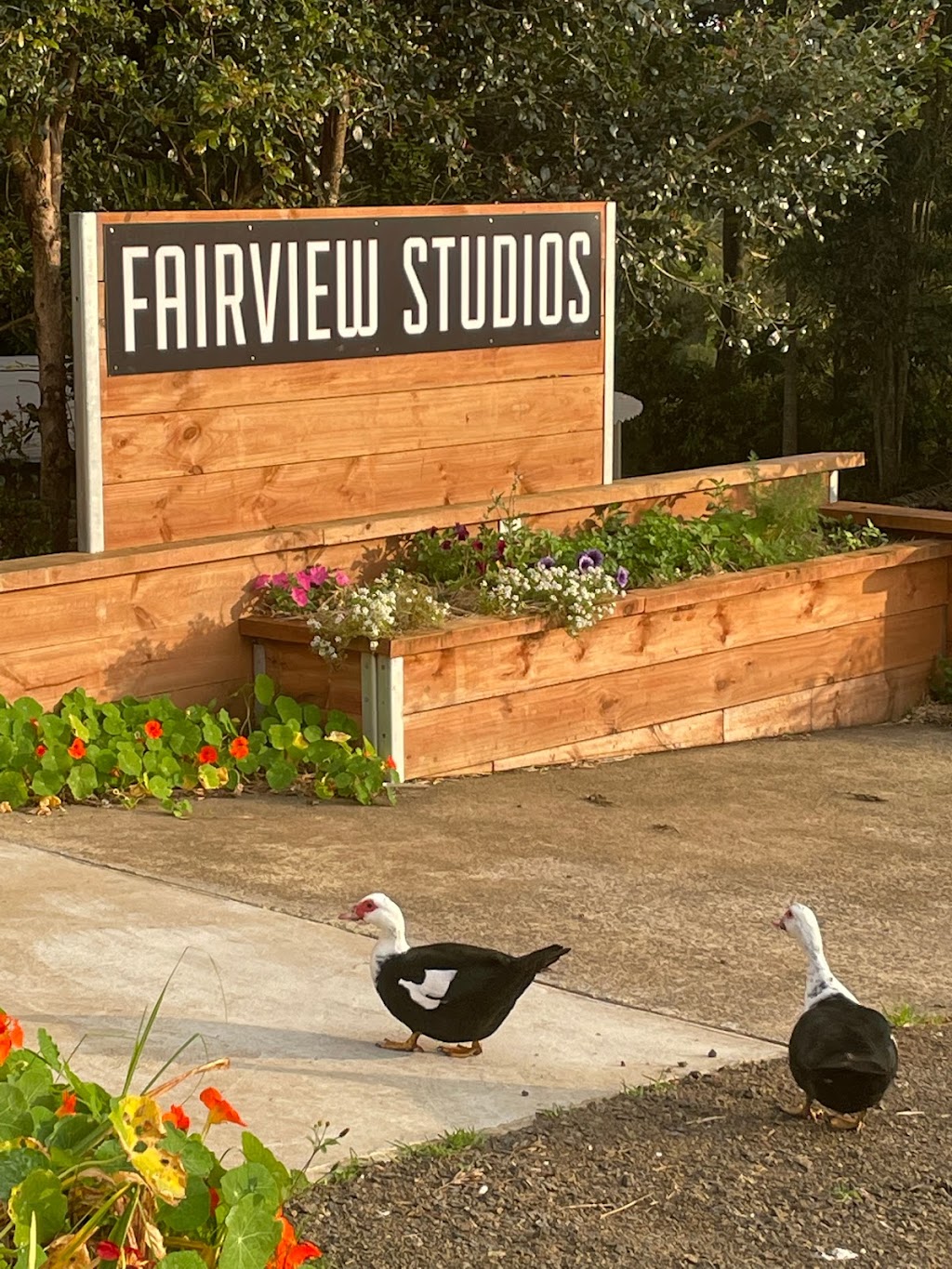 Fairview Studios | 114 Stewarts Rd, Clunes NSW 2480, Australia | Phone: 0406 404 335