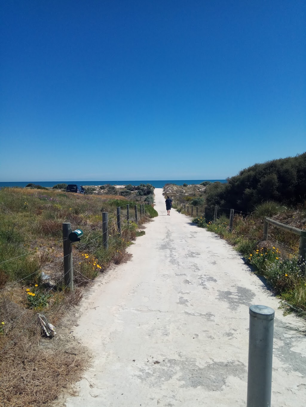 Tennyson Dunes