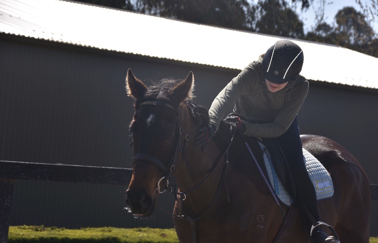 DARWIN PARK EQUESTRIAN | 22 Mountain Flat Rd, Narre Warren East VIC 3804, Australia | Phone: 0419 865 051