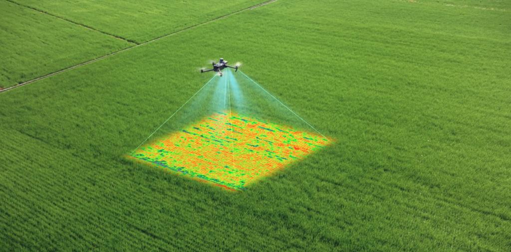 Terralis Environmental | 130 High St, Lismore VIC 3324, Australia | Phone: 0425 741 022