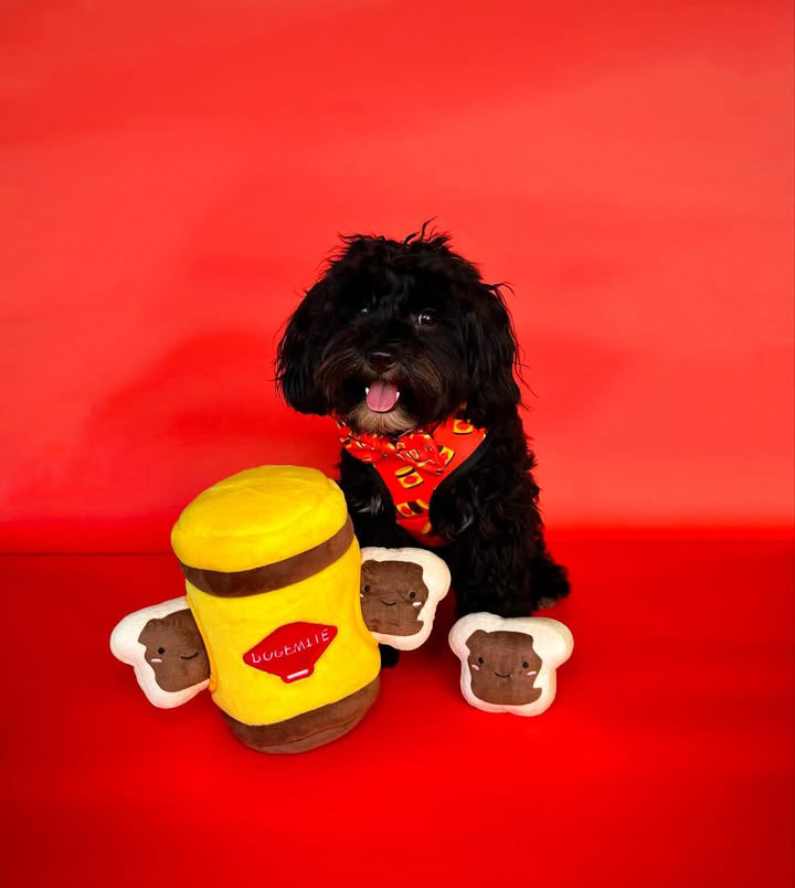 Twomoodles | 32 Currawong St, Deebing Heights QLD 4306, Australia | Phone: 0417 751 714