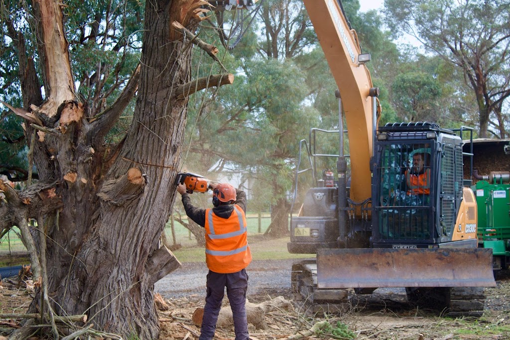 Pakenham tree services | Bate Cl, Pakenham VIC 3810, Australia | Phone: 0474 762 445