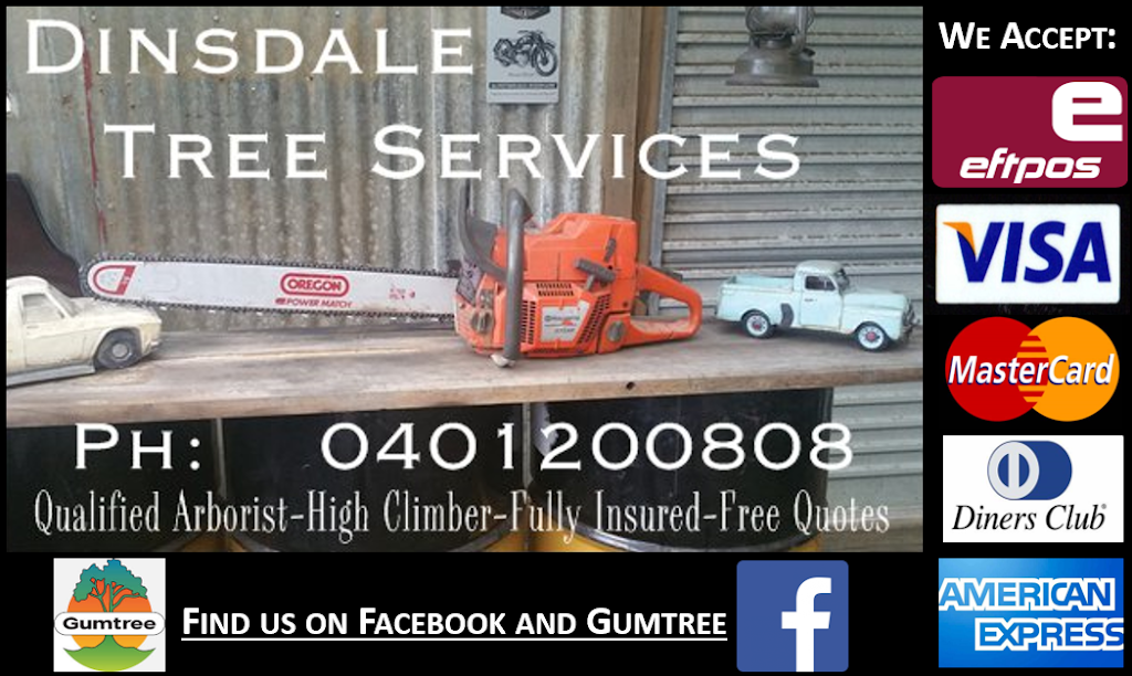 Dinsdale Tree Services |  | 13 Monteith St, Cringila NSW 2502, Australia | 0401200808 OR +61 401 200 808
