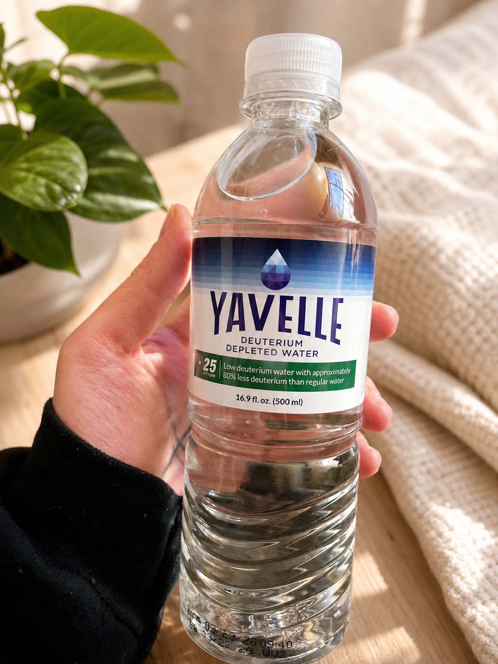 Yavelle | 38 Hellfire Pass, Lower Beechmont QLD 4211, Australia | Phone: (07) 3123 5998