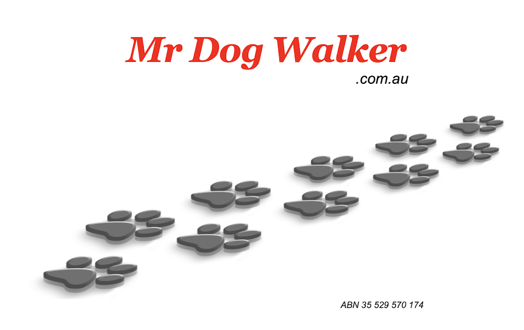 Mr Dog Walker | 94 Hoddle Ave, Campbelltown NSW 2560, Australia | Phone: 0419 971 665