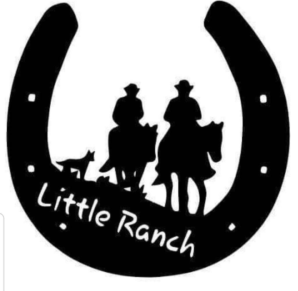 Little Ranch Horse Riding Lessons |  | 675 Ellangowan Rd, Yorklea NSW 2470, Australia | 0407692938 OR +61 407 692 938