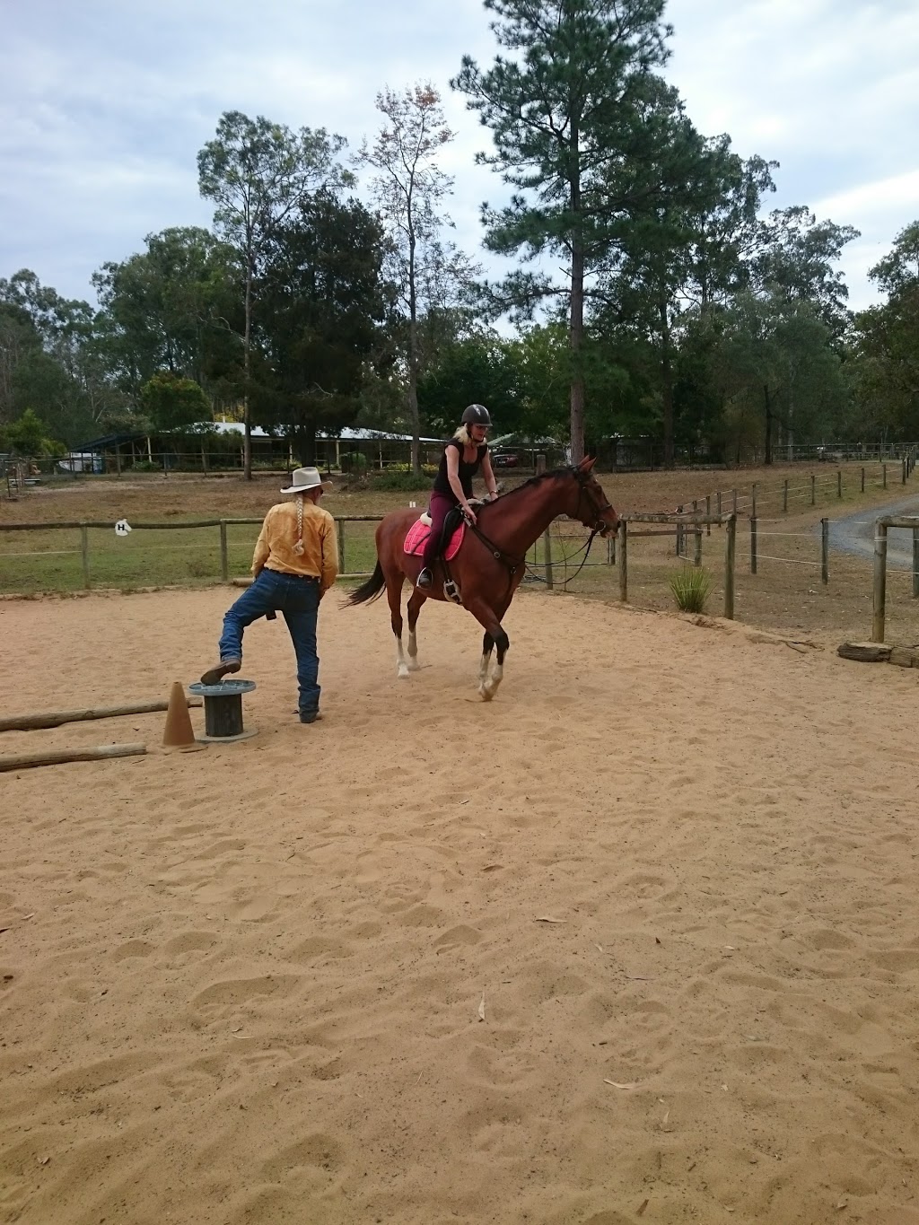 Yarralee Equestrian Developement |  | 76 Pennine Dr, South MacLean QLD 4280, Australia | 0732975856 OR +61 7 3297 5856