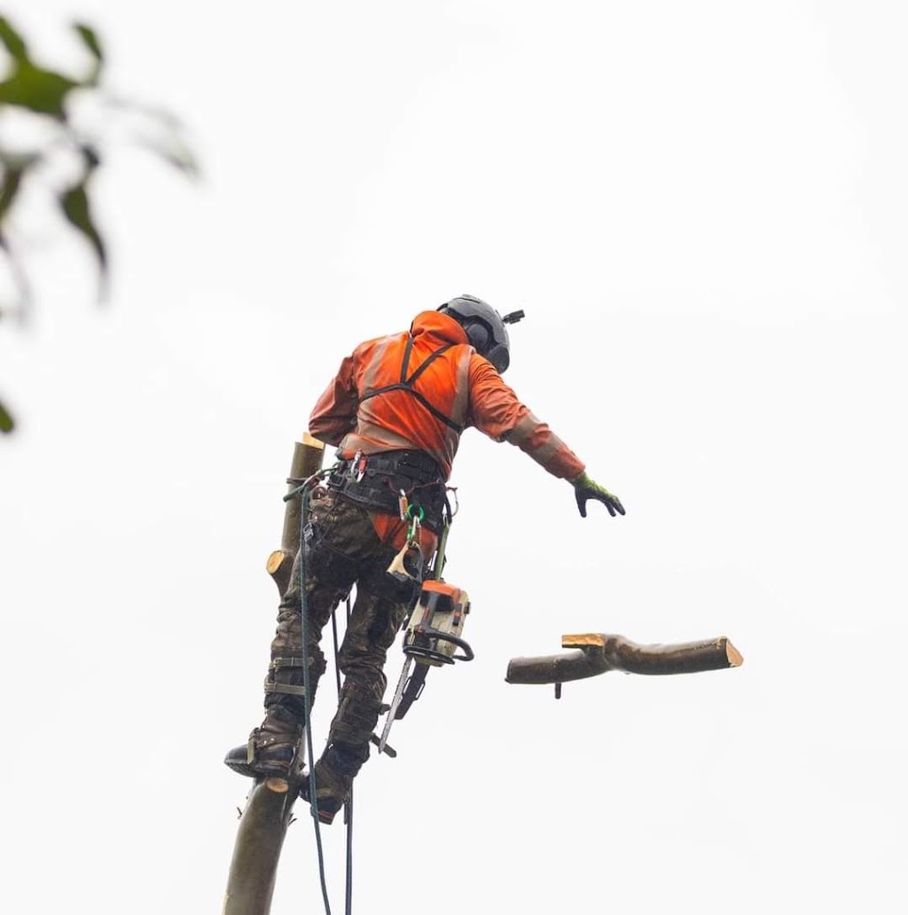 Tabernacle Timber | 4947 Chinchilla Tara Rd, Tara QLD 4421, Australia | Phone: 0423 025 861