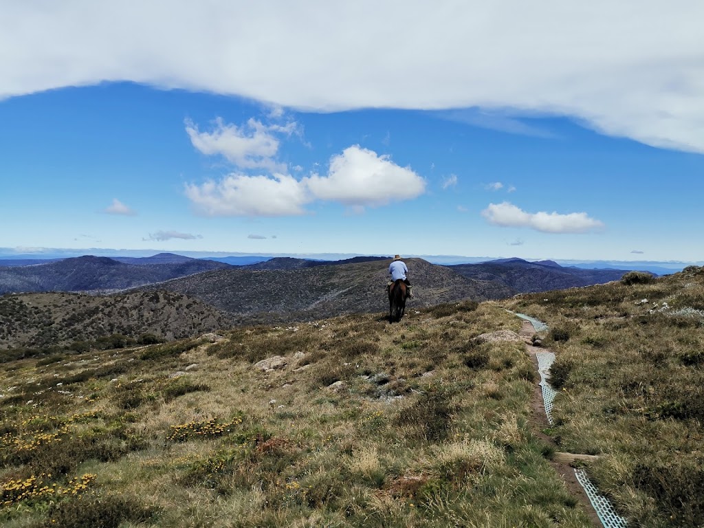 Snowy Range Horseback Tours | travel agency | Kelly Hut Track, Tamboritha VIC 3858, Australia | 0428321905 OR +61 428 321 905