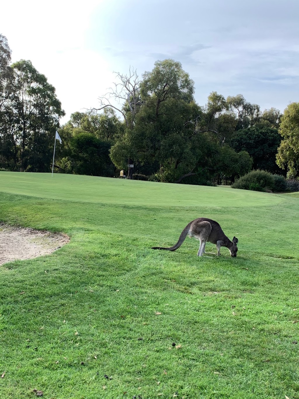 Churchill Park Golf Club | 113 Churchill Park Dr, Endeavour Hills VIC 3802, Australia | Phone: (03) 9700 4494