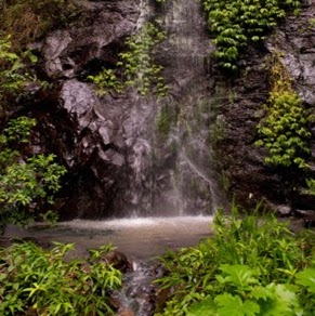 Nimbin Waterfall Retreat | lodging | 14 Weismantel Rd, Nimbin NSW 2480, Australia | 0415451640 OR +61 415 451 640