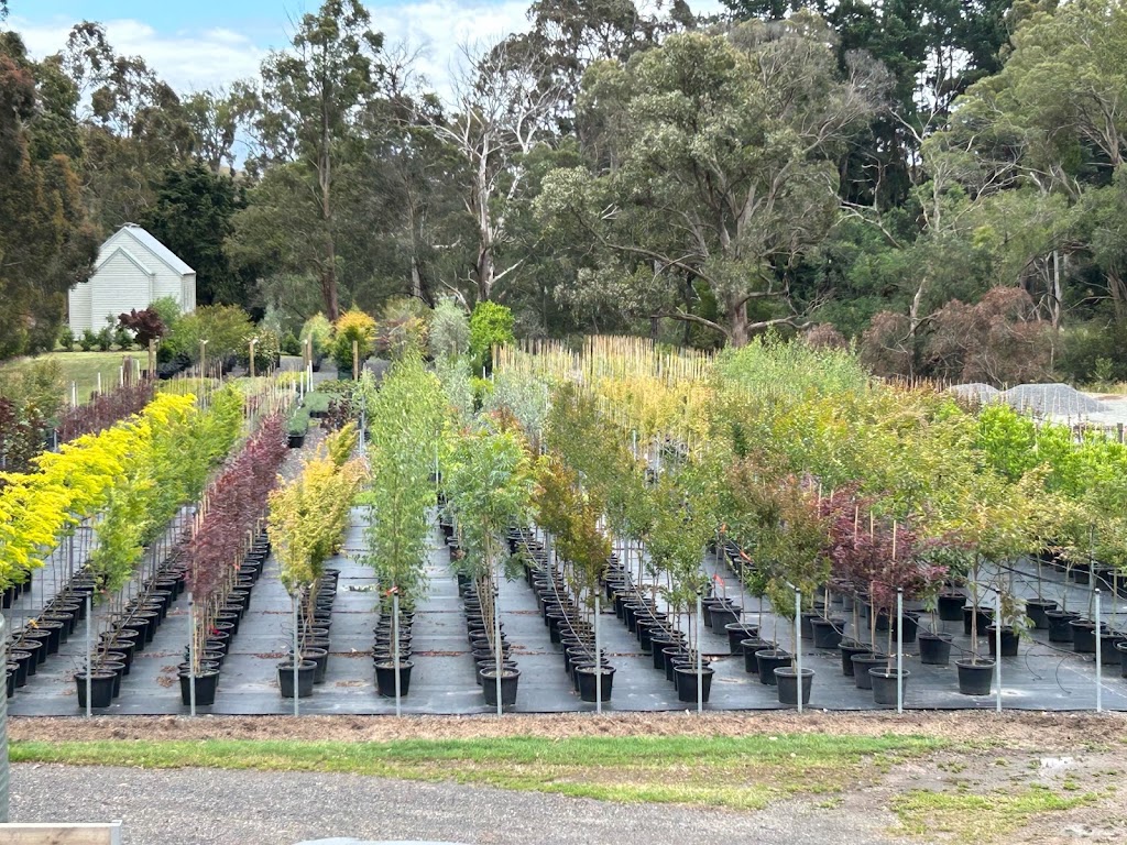 ML Trees | 34 Homestead Rd, Wonga Park VIC 3115, Australia | Phone: 0467 298 315