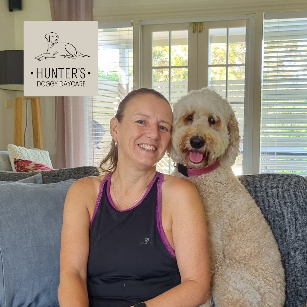 Hunters Doggy Daycare & Shop | 29 Blackbutts Rd, Frenchs Forest NSW 2086, Australia | Phone: 0415 693 337