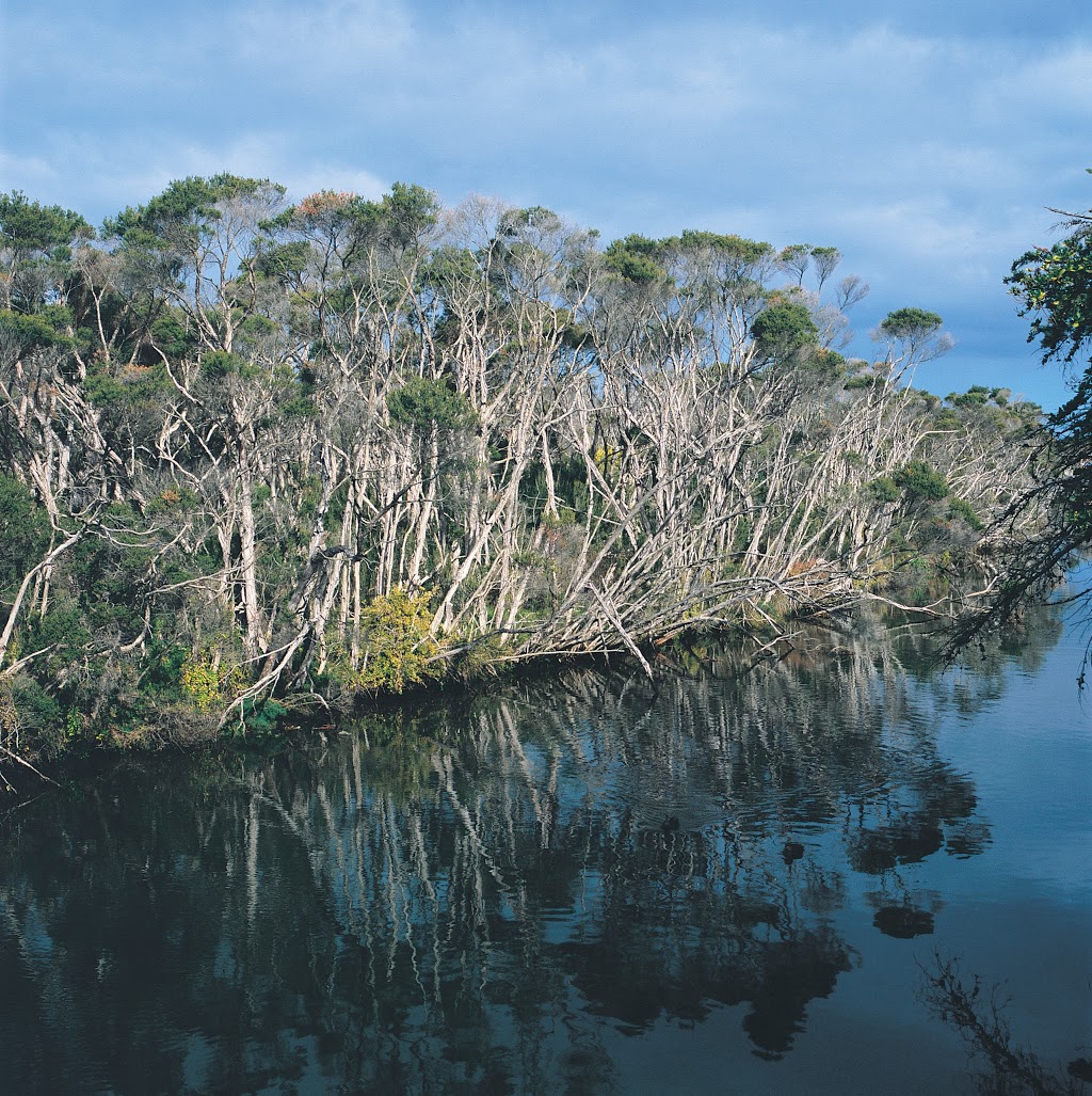 Kananook Creek Reserve | Seaford VIC 3198, Australia