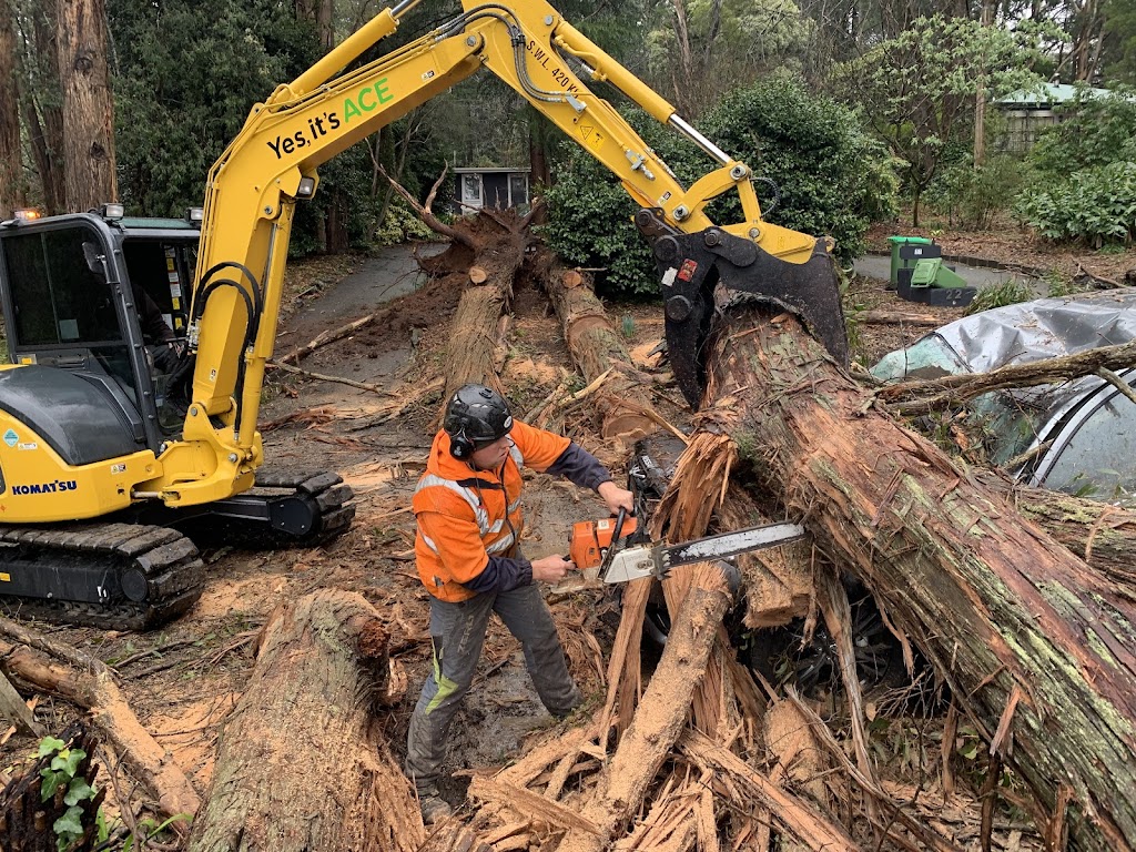 Ace Tree Management |  | 185/191 Liverpool Rd, Kilsyth VIC 3137, Australia | 0408121104 OR +61 408 121 104