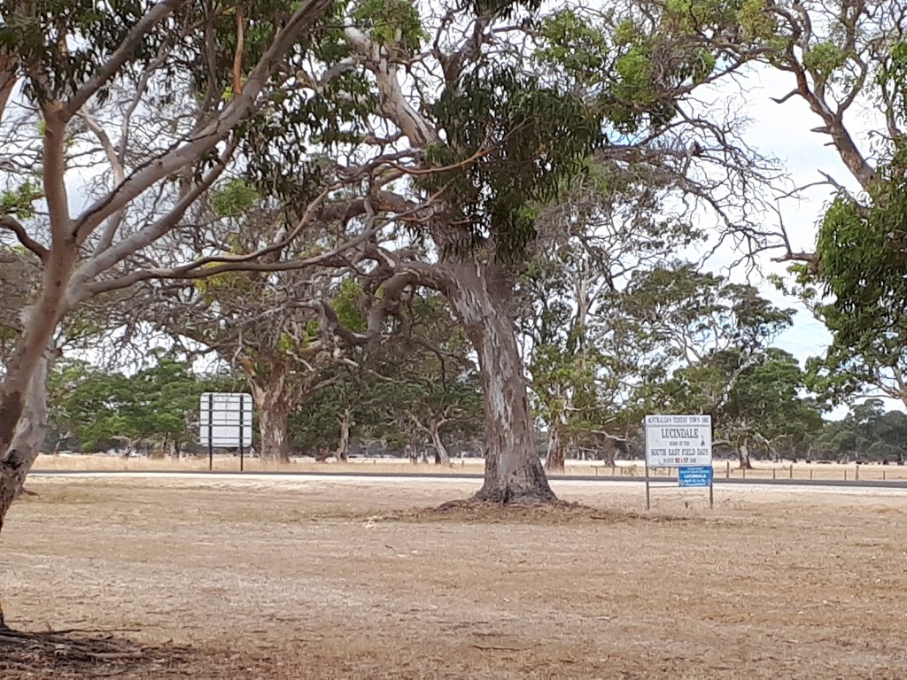 Lucindale Community Display | museum | Lucindale SA 5272, Australia