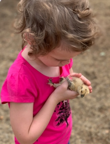 Trulander Petting Zoo | 1605 Rubyvale Rd, The Gemfields QLD 4702, Australia | Phone: 0407 460 703