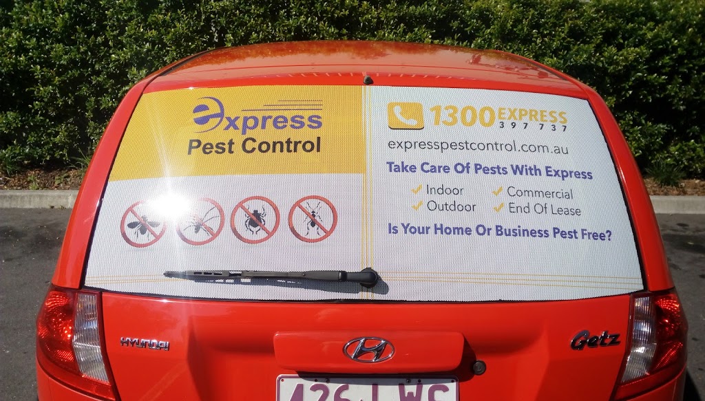 Exact Pest Solutions | home goods store | 2/1 Piers St, Moorooka QLD 4105, Australia | 0415524292 OR +61 415 524 292