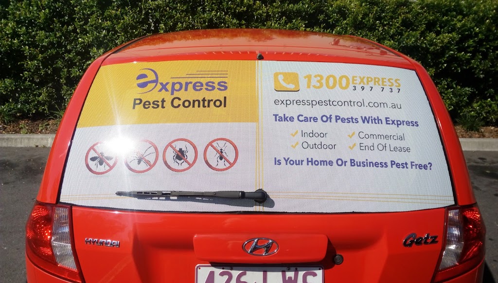 Exact Pest Solutions | 2/1 Piers St, Moorooka QLD 4105, Australia | Phone: 0415 524 292