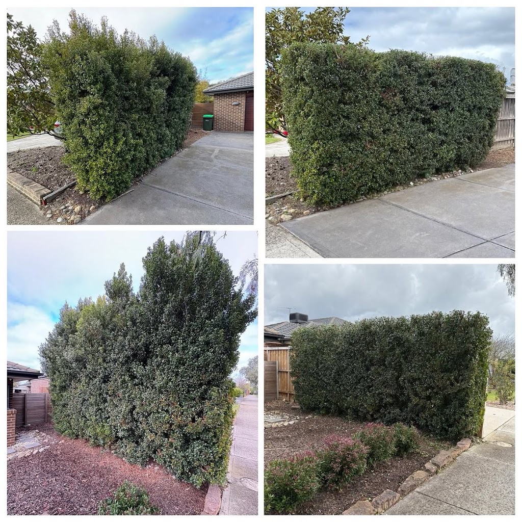 DP Mowing & Garden Care | 32 Flaxen Hills Rd, Doreen VIC 3754, Australia | Phone: 0455 742 323