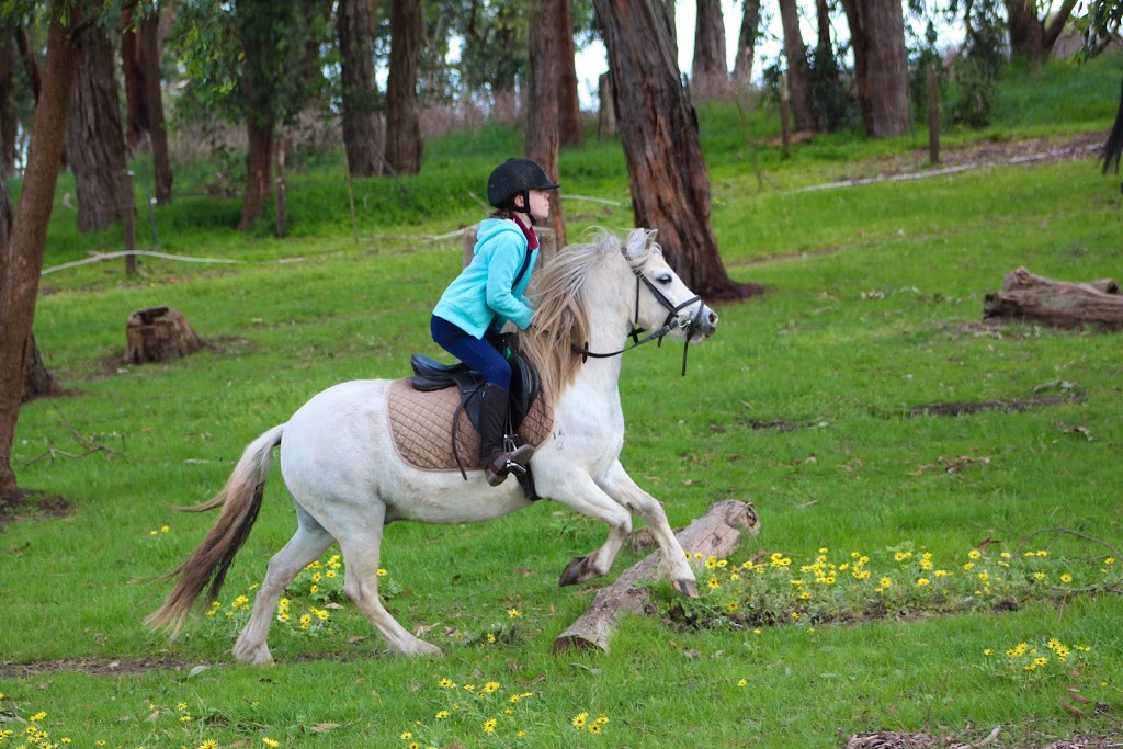 Beltain Park Riding Centre | travel agency | 741 Warburton Hwy, Seville VIC 3139, Australia | 0359642445 OR +61 3 5964 2445