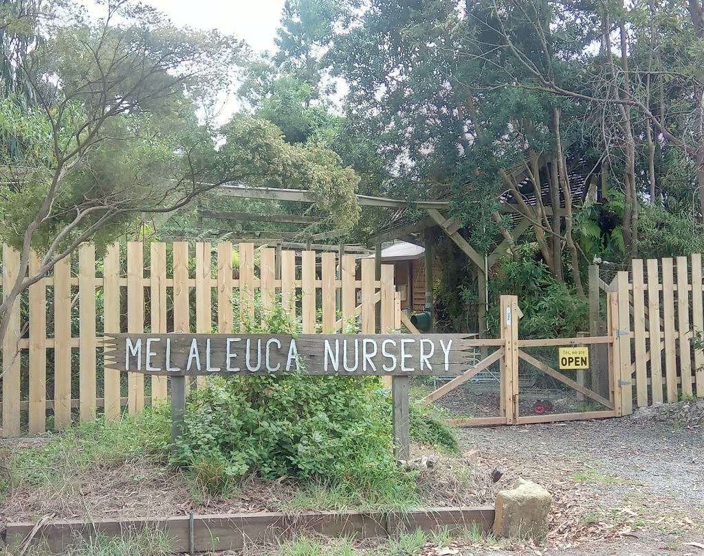 Melaleuca Nursery | 50 Pearsalls Rd, Inverloch VIC 3996, Australia | Phone: (03) 5674 1014