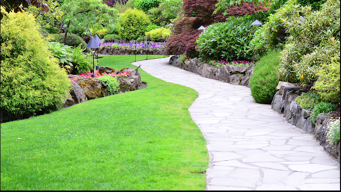 Woodstock Tree & Stump Removal | 47 Killara Rd, Coldstream VIC 3770, Australia | Phone: 0429 856 255