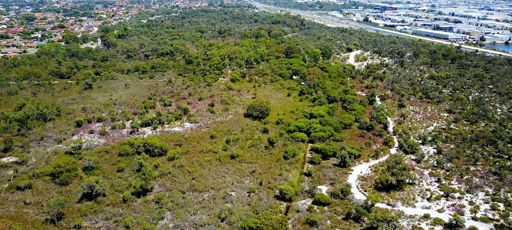 Lightning Swamp Bushland | Noranda WA 6062, Australia