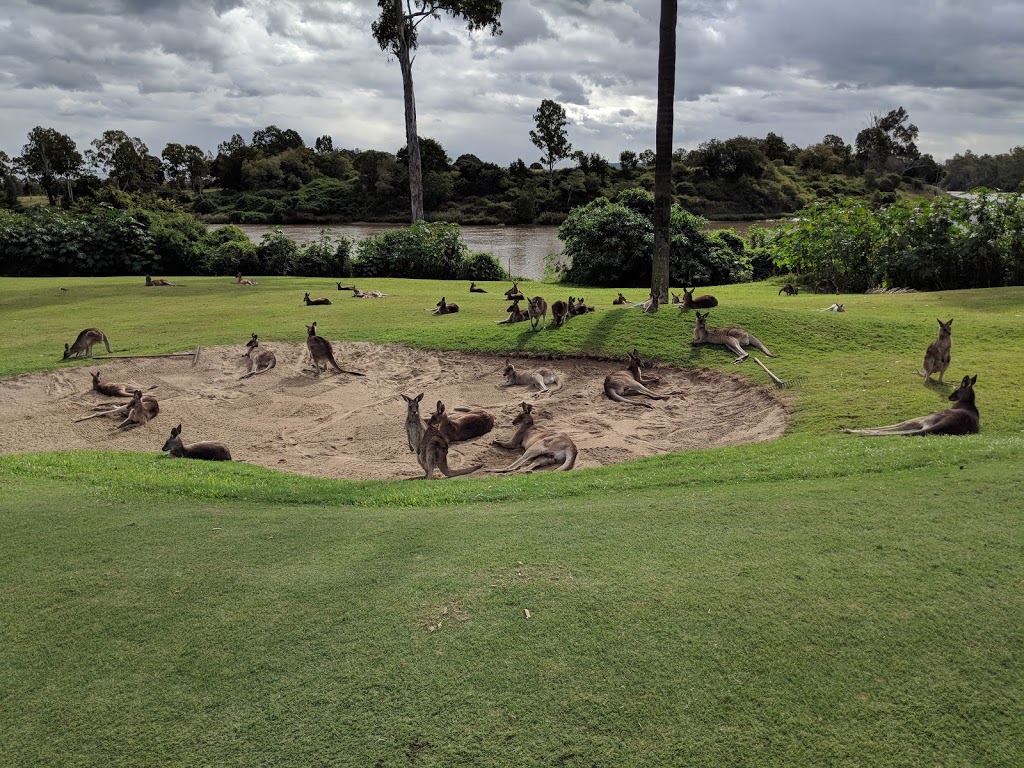 Wolston Park Golf Club | Ellerton Dr, Wacol QLD 4067, Australia | Phone: (07) 3271 4057