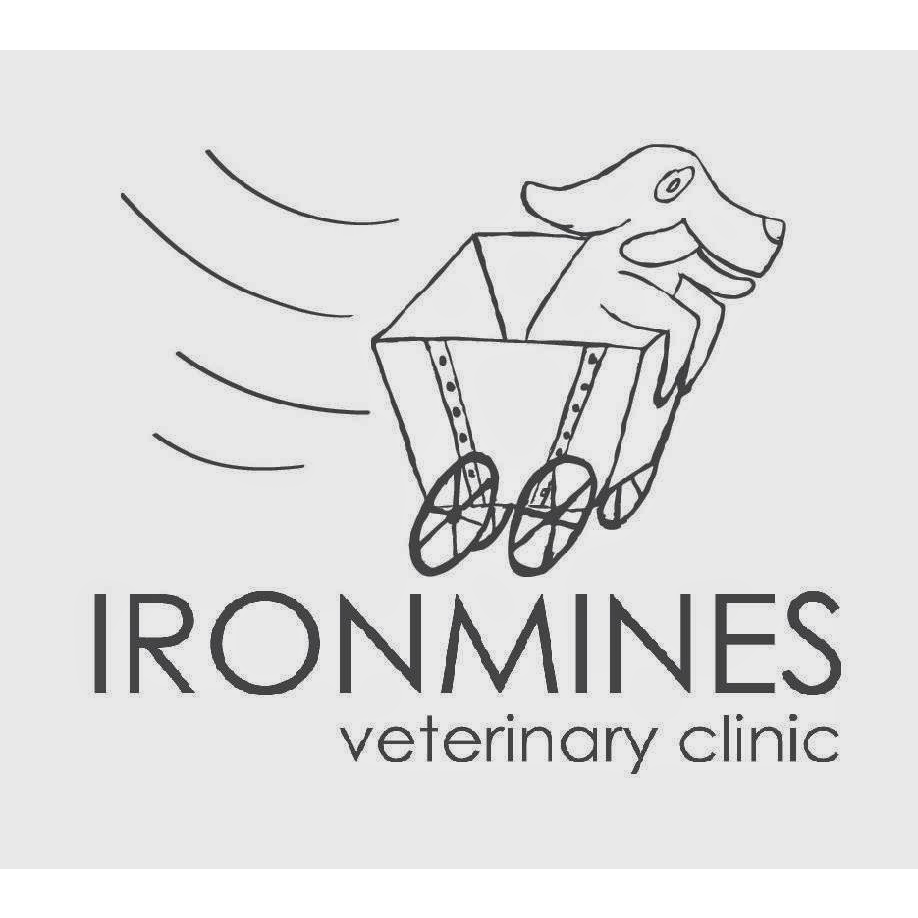Ironmines Veterinary Clinic | veterinary care | 234 Old Hume Hwy, Mittagong NSW 2575, Australia | 0248713833 OR +61 2 4871 3833