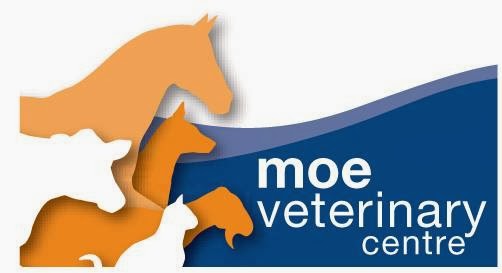 Moe Veterinary Centre | veterinary care | 31 Lloyd St, Moe VIC 3825, Australia | 0351273511 OR +61 3 5127 3511