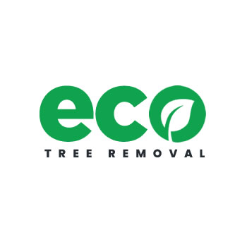 Eco Tree Removal Brisbane | home goods store | 301 Coronation Dr, Milton QLD 4064, Australia | 0730677102 OR +61 7 3067 7102
