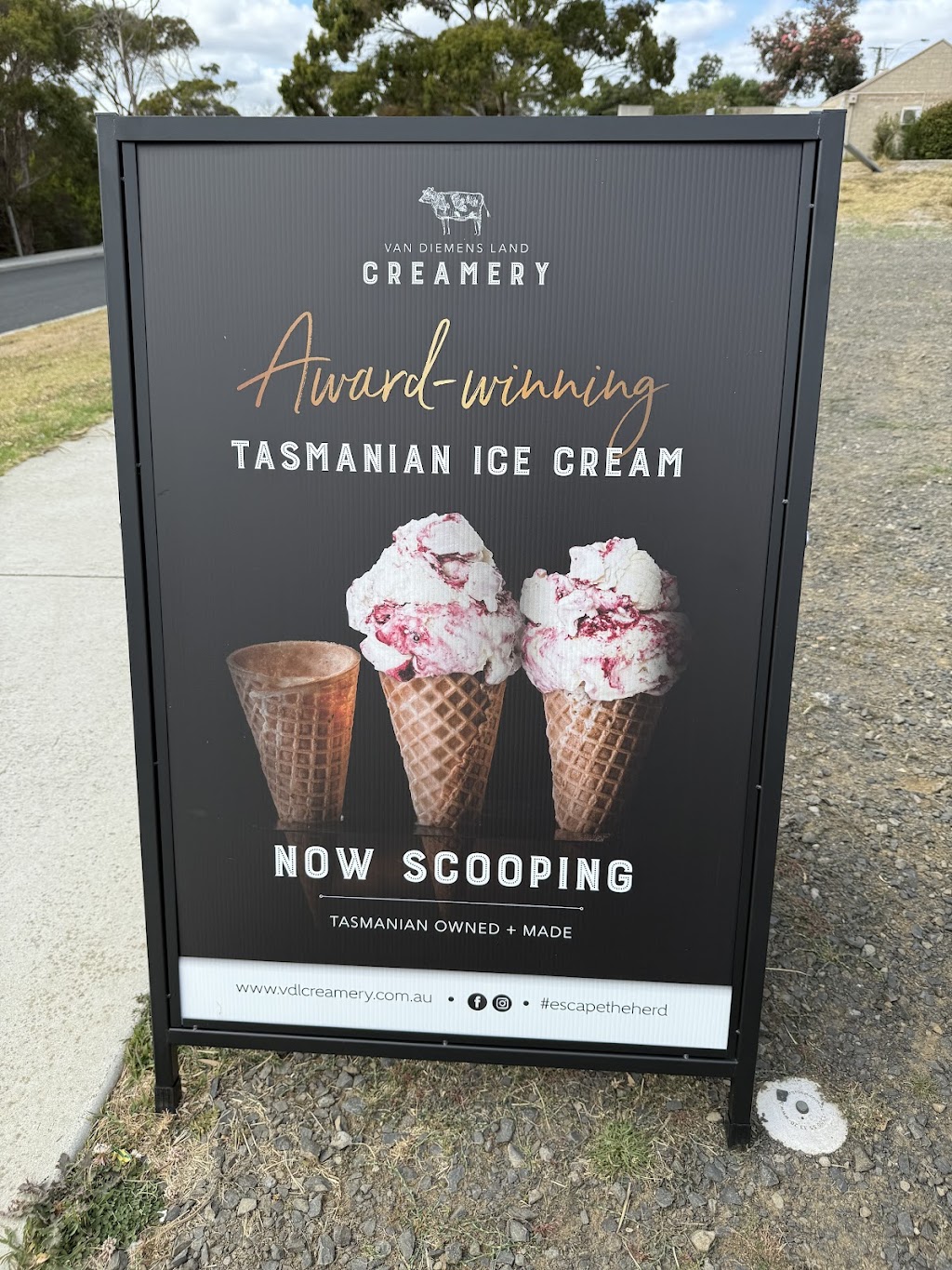 Scoopy Bliss | Old pier, Bridport TAS 7262, Australia | Phone: 0478 144 769