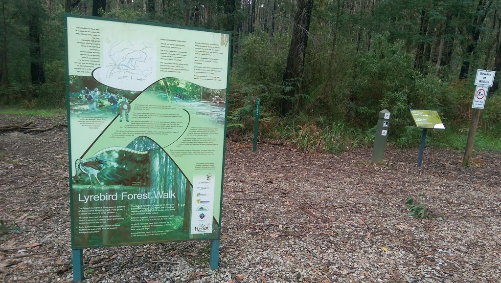 Lyrebird Forest Walk Carpark | Unnamed Road, Mirboo North VIC 3871, Australia