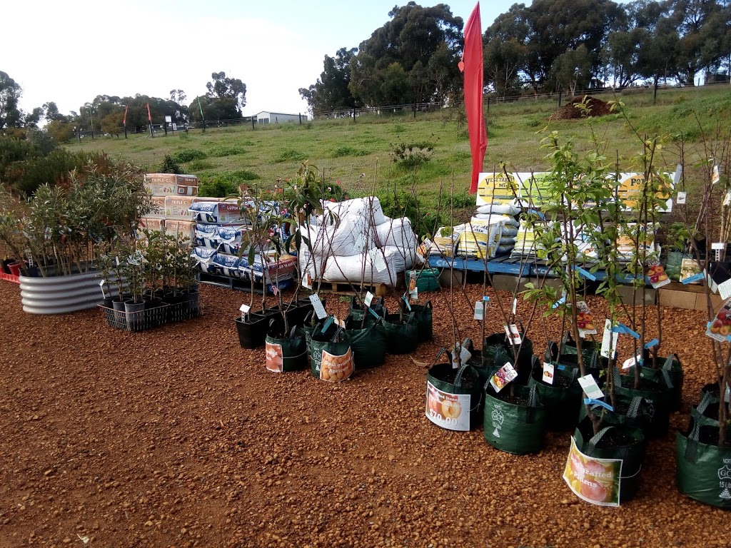 Thrive Sustainability | store | 48 Citron Way, Lower Chittering WA 6084, Australia | 0408157301 OR +61 408 157 301