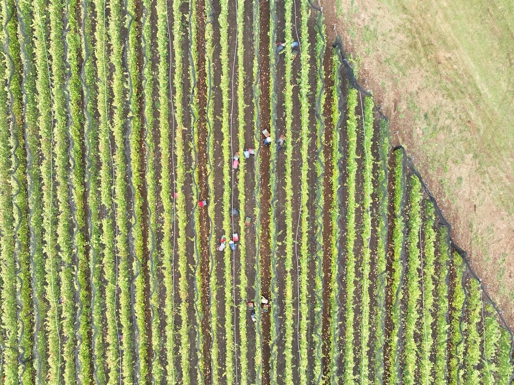 Clarries Track | 20 Donald Lane, Newbury VIC 3458, Australia | Phone: 0419 682 391