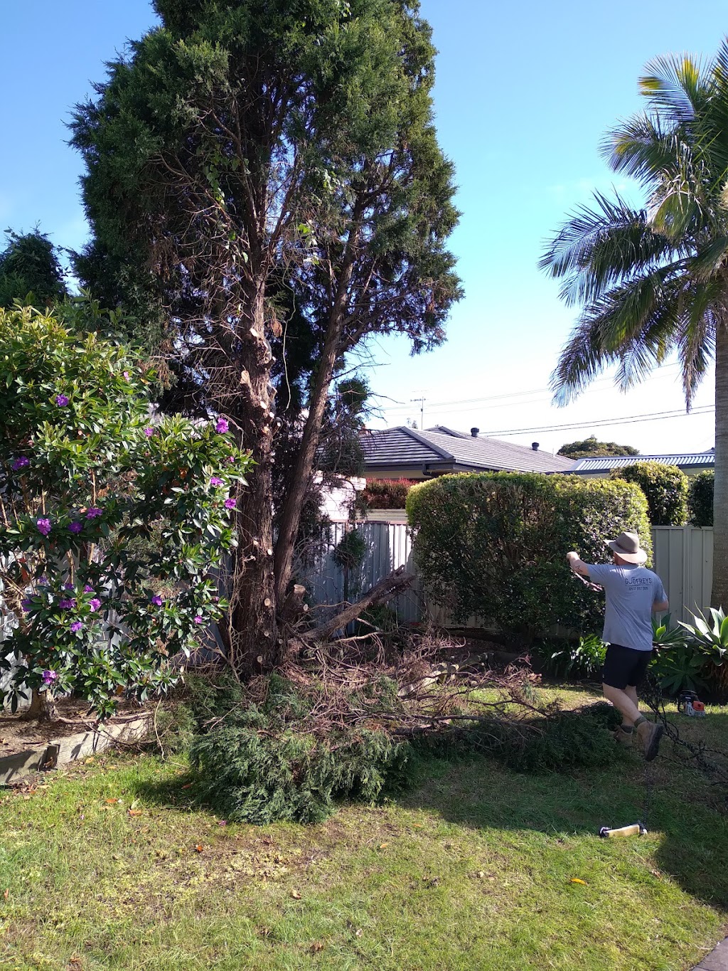 Godfreys Gutter Cleaning & Tree Services | 2 Karwin Rd, Medowie NSW 2318, Australia | Phone: 0432 097 369