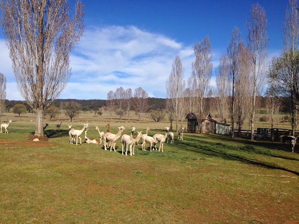 Glen Waverly Farm Stay And Alpacas | lodging | 1 Fawcett Rd, Glen Innes NSW 2370, Australia | 0408482158 OR +61 408 482 158