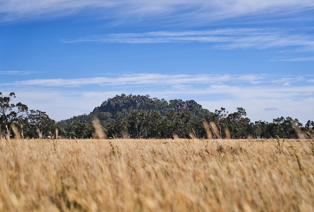 Hanging Rock Truffle Farm | lodging | 569 Romsey Rd, Woodend VIC 3442, Australia | 0418572189 OR +61 418 572 189
