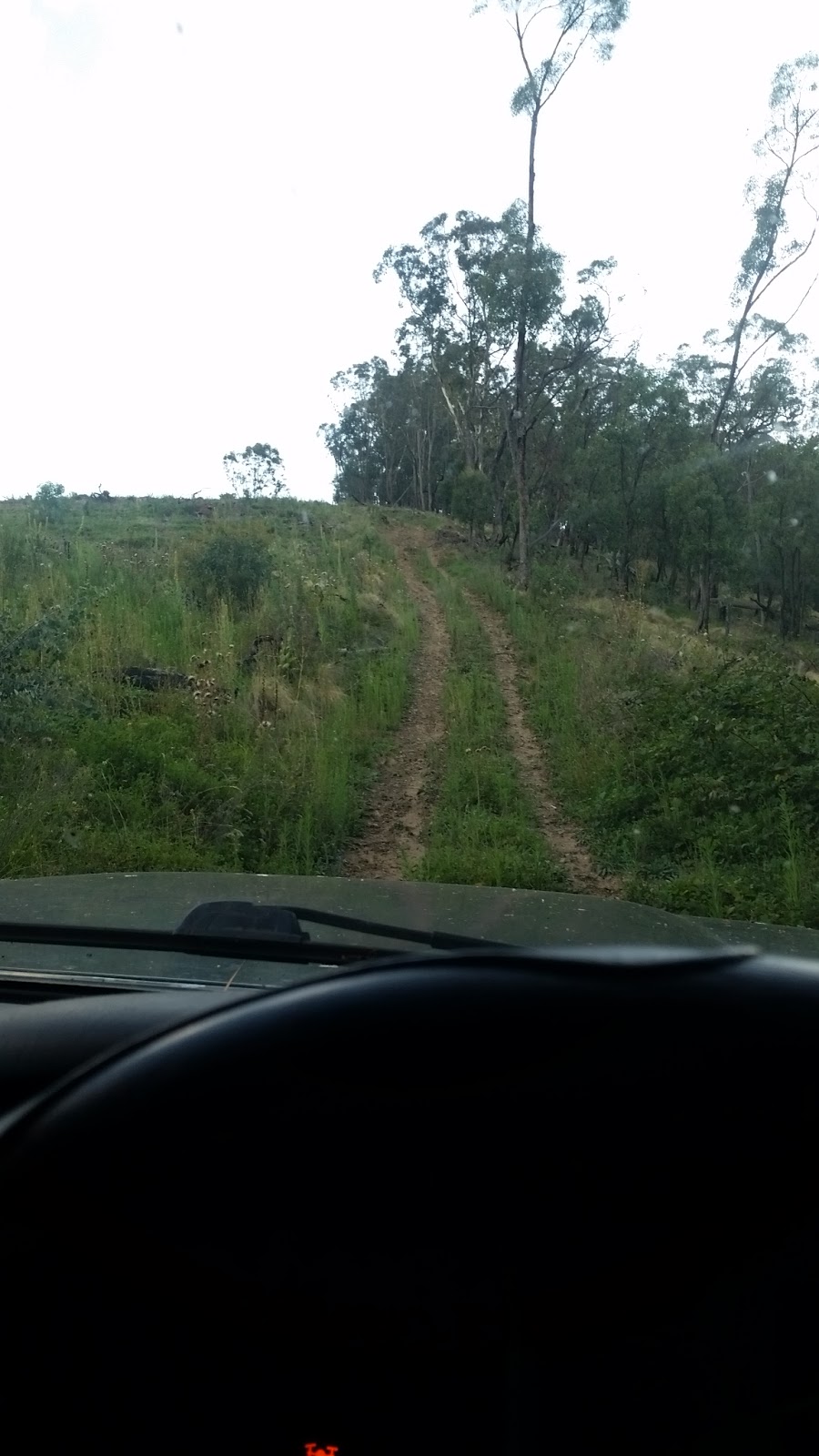 Lowes Mount State Forest | Oberon NSW 2787, Australia