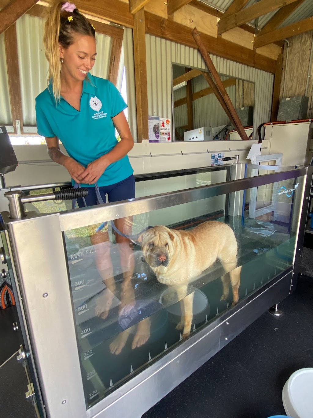 Kylies K9 Hydrotherapy | 25 Alkoomie Pl, Wilton NSW 2571, Australia | Phone: 0419 666 673
