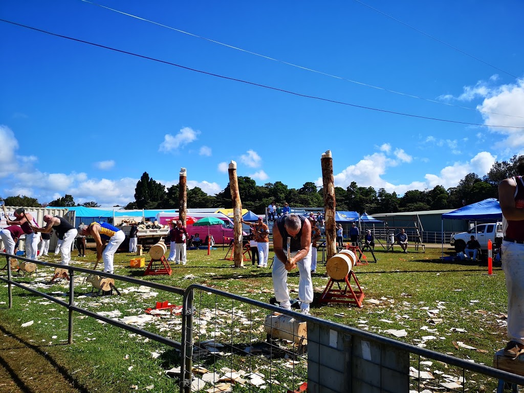 Malanda Horse and Pony Club | Mary St &, Thomas St, Malanda QLD 4885, Australia | Phone: 0418 131 317